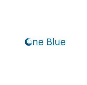 Read more about the article ONE-BLUE